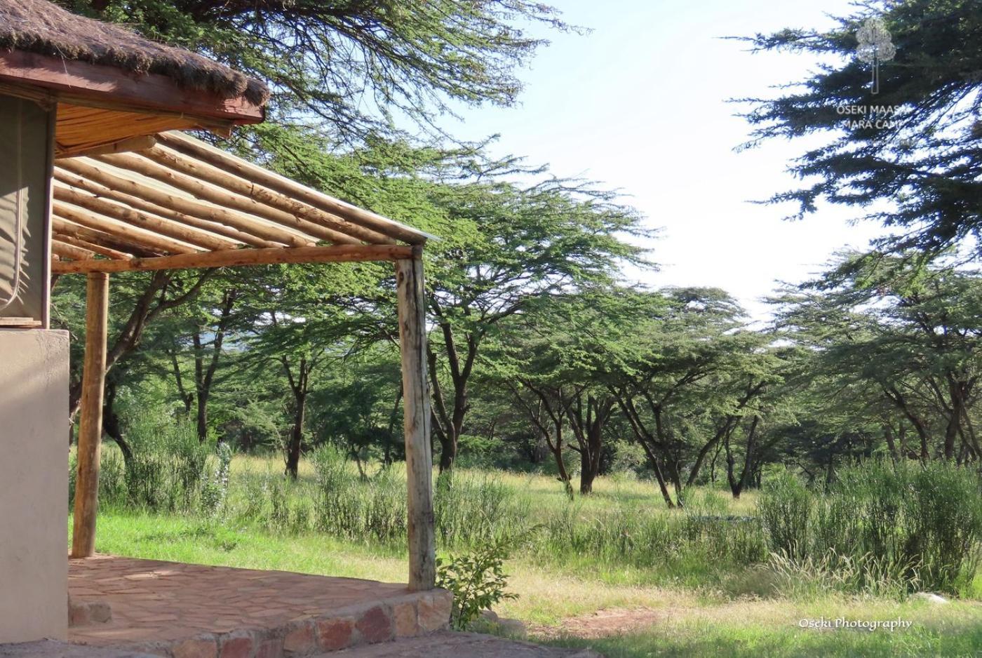 Hotel Oseki Maasai Mara Camp Narok Zewnętrze zdjęcie