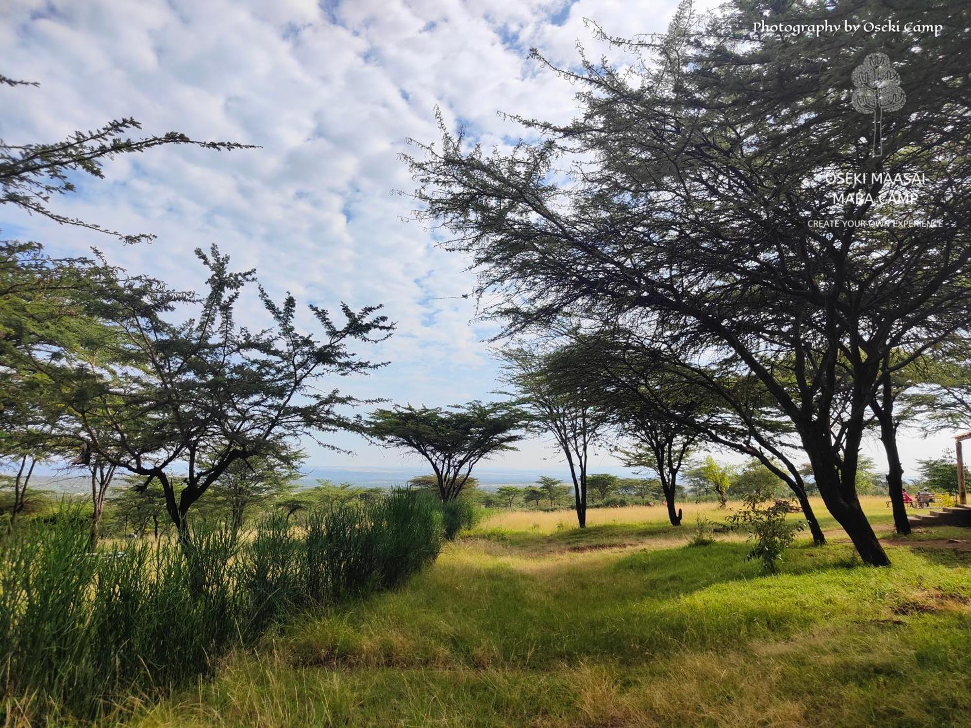 Hotel Oseki Maasai Mara Camp Narok Zewnętrze zdjęcie